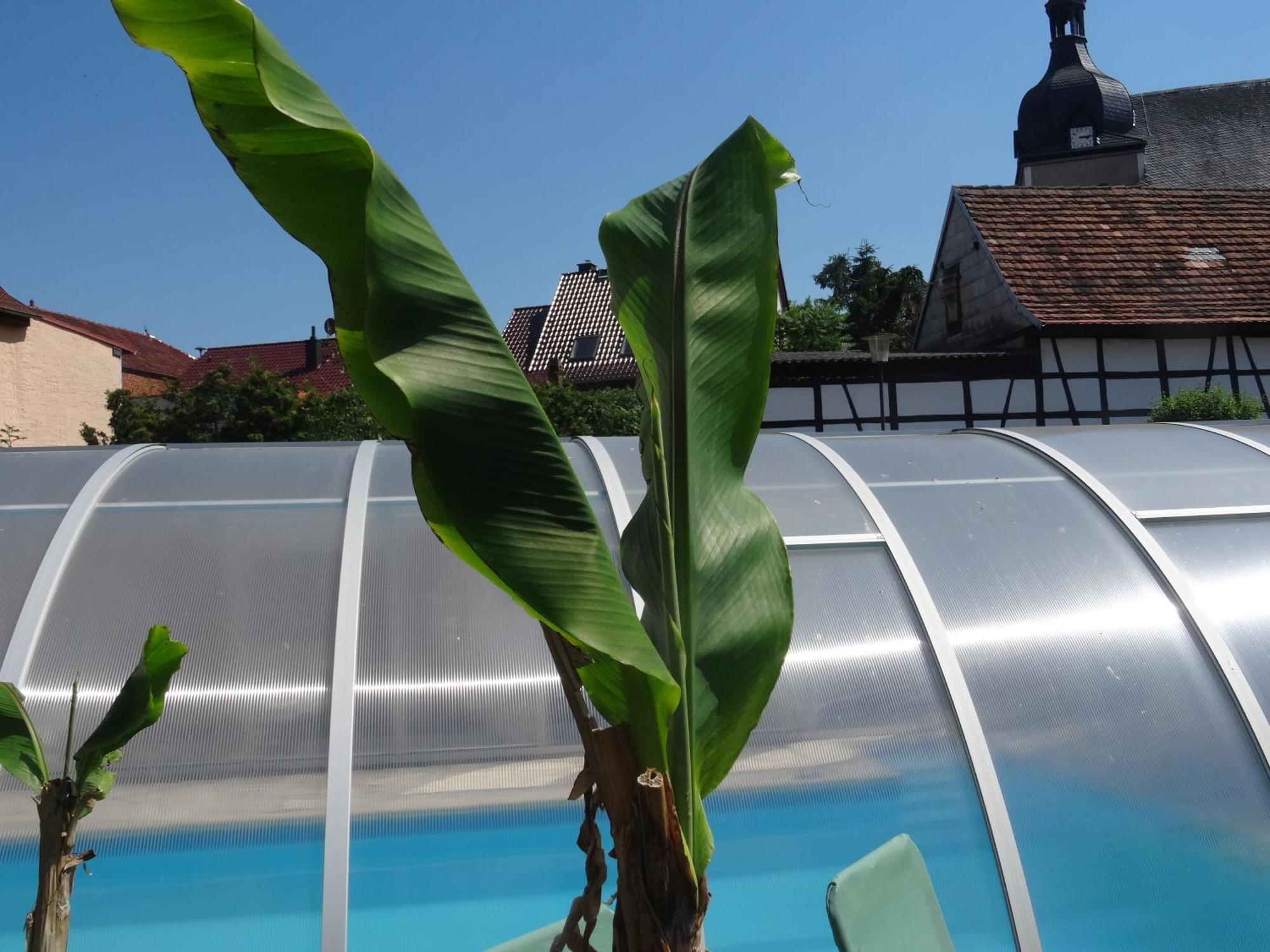 Pension Und Gaestehaus Paffrath Grossbrembach ภายนอก รูปภาพ